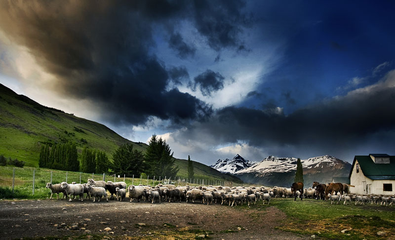 Patagonian Ranch
