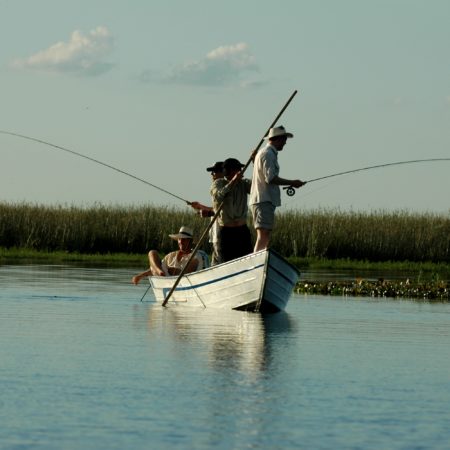 Fishing and boat excursions in the Ibera Wetlands