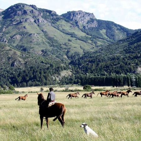 Horse riding at northern patagonian ranches