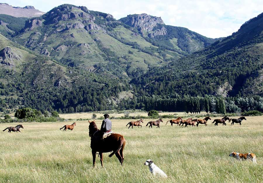Horse riding Patagonia
