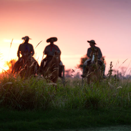 Meet the local gauchos of the wetlands region