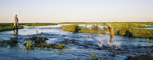 Ibera Wetlands