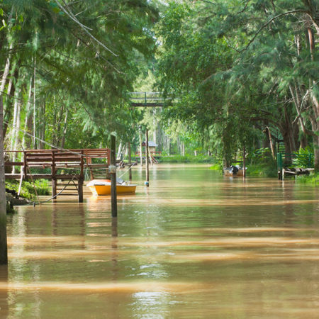 Buenos Aires city parks, suburbs  and the exotic Tigre Delta
