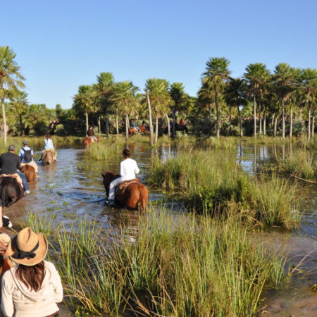 Horse-rides across lagoons in the Iberá wetlands